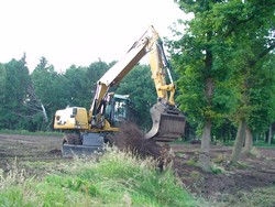growe01.jpg