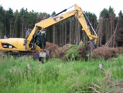 growe03.jpg