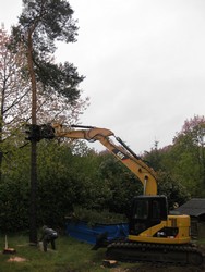 growe04.jpg
