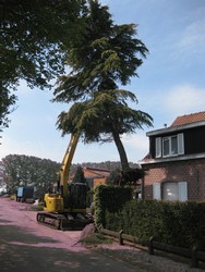 growe05.jpg